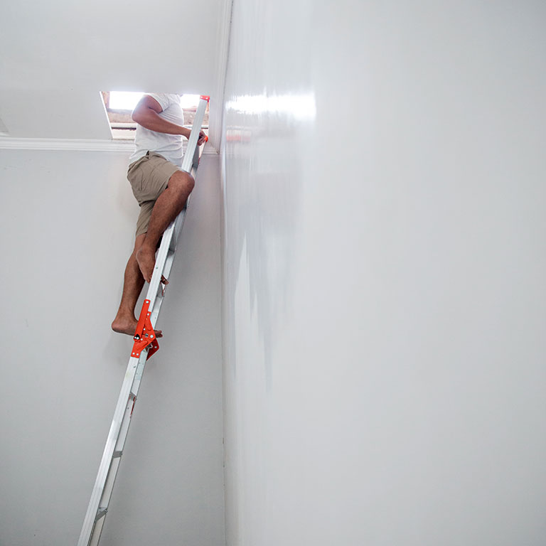 man on ladder looking through skylight